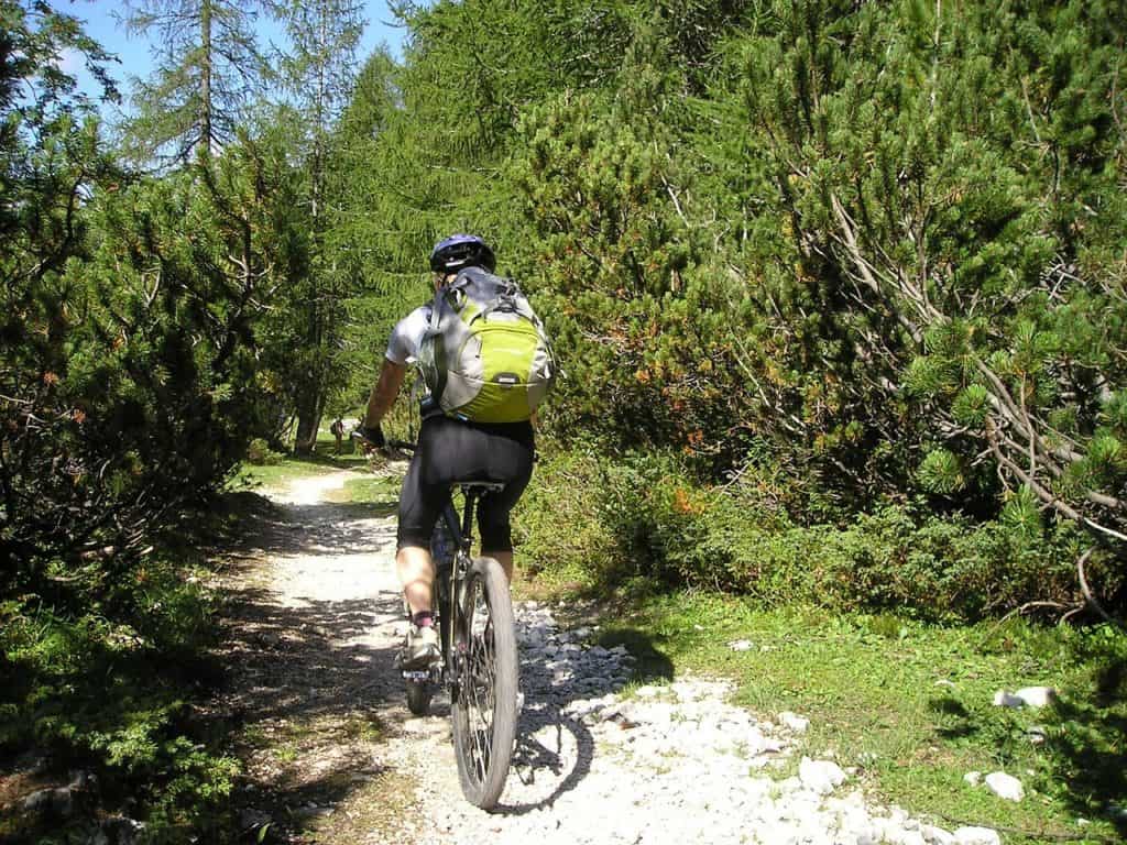 Mountain Biker on trail