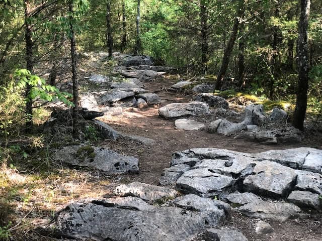 White Rock Mountain Bike Trail in Nashville