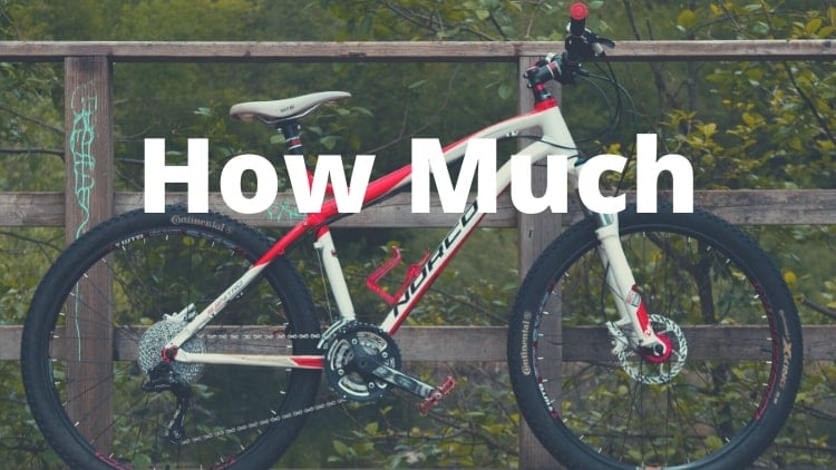 average mountain bike cost