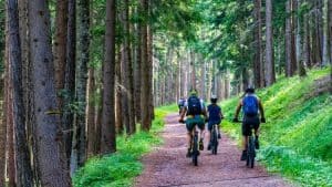 riders on a relaxed bike trail