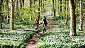 two riders on beginner bike trail