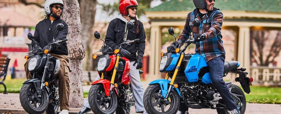 honda grom